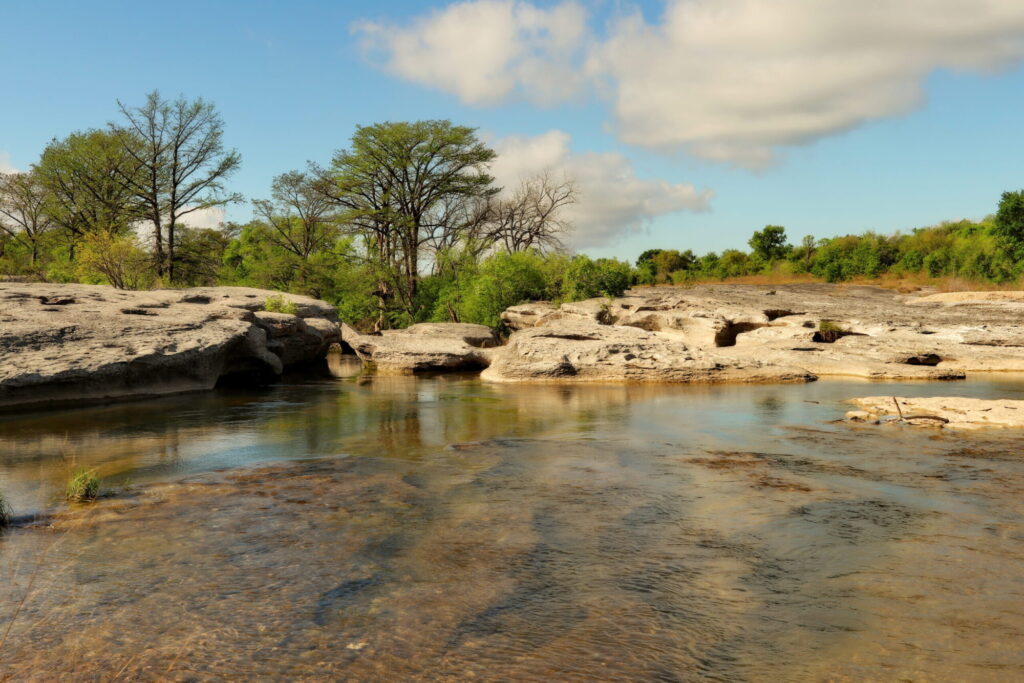 Overlooking Onion Creek with water in the foreground and limestone and trees in the background