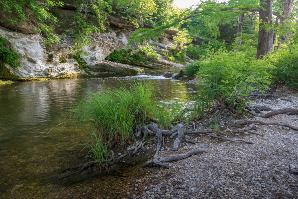 Onion Creek flows between a wall of Edwards Limestone and a rocky bank covered in vegetation.