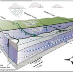 Barton Springs segment of the Edwards (Balcones Fault Zone) Aquifer ...