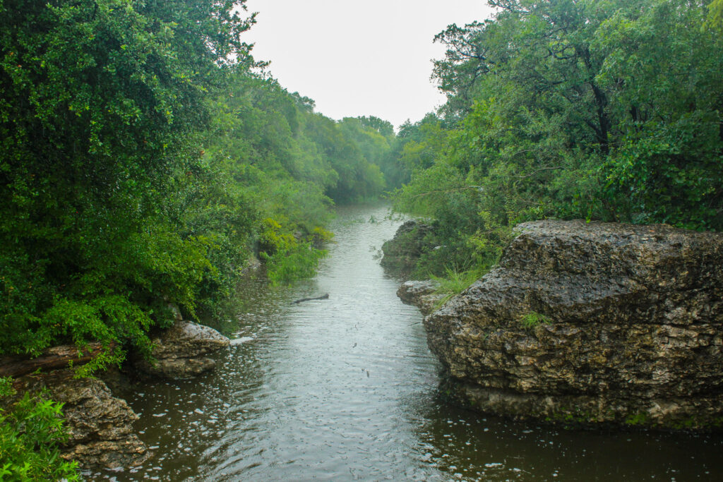 Rain on Little Bear Creek in July 2024