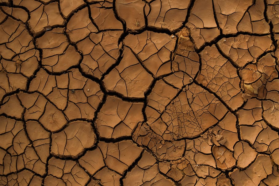dry cracked soil amongst a drought