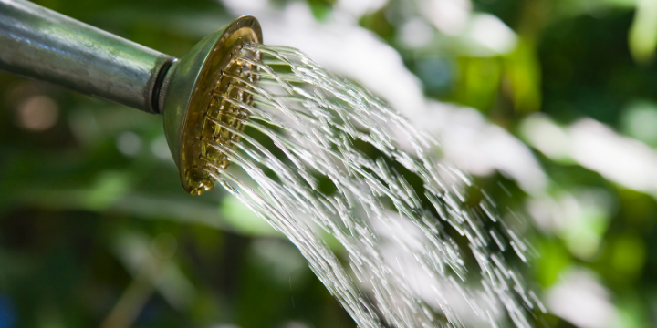 Drought & Conservation