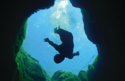 Jacobs Well Diver